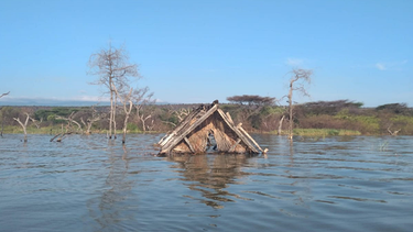 Überschwemmtes Haus in Kenia | Bild: BR