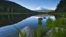 Oregon - Blick vom Trillium See auf den Mount Hood  | Bild: picture-alliance/dpa