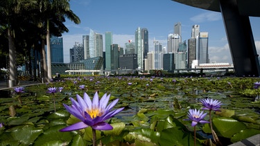 Skyline von Singapur | Bild: picture-alliance/dpa