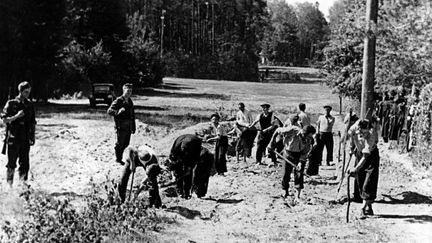 Jüdische Zwangsarbeiter beim Sraßenbau in Polen während der deutschen Besatzung (undatiertes Foto) | Bild: picture-alliance/dpa