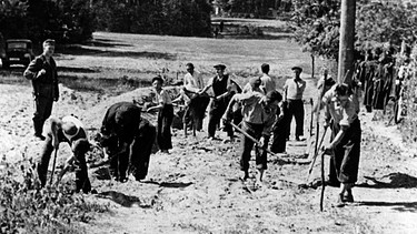 Jüdische Zwangsarbeiter beim Sraßenbau in Polen während der deutschen Besatzung (undatiertes Foto) | Bild: picture-alliance/dpa
