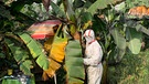 Biolandwirtin Martina Rasi arbeitet auf ihrer Bananenplantage | Bild: BR/Christina Teuthorn-Mohr