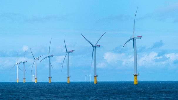 Offshore-Windpark Meerwind nordwestlich von Helgoland, | Bild: picture alliance / imageBROKER | Wolfgang Diederich