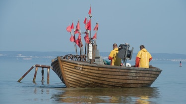 Heringsfischer vor der Insel Rügen | Bild: picture alliance / Stefan Sauer/dpa-Zentralbild/dpa