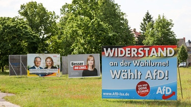 Wahlplakate von CDU, Die Linke und AfD in Sachsen-Anhalt | Bild: picture alliance/dpa