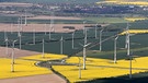 Windpark in Altentreptow in Mecklenburg-Vorpommern | Bild: picture alliance/dpa
