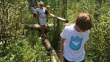 Moorerlebnis Benediktbeuern: Junge balanciert auf Baumstamm | Bild: BR / Kujawa