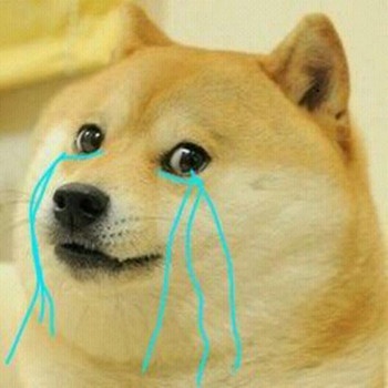 Wow
So Sunday night
Weekend very over
Much cri
Such upset
Many tear http://t.co/Ju39Sduagt | Bild: DogeTheDog (via Twitter)