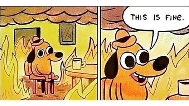 Basically how I'm handling life right now https://t.co/AGPoduEdAw | Bild: CurvyLadyProbs (via Twitter)