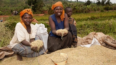 Frauen in Ruanda in geerntetem Reis | Bild: picture-alliance/dpa /Wayne Hutchinson