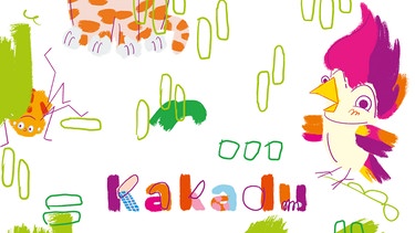 Kakadu | Bild: Deutschlandradio