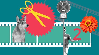 Collage mit Schere, Hund und Filmstreifen | Bild: BR