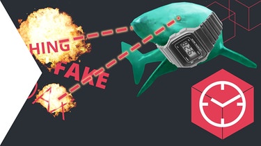Unterrichtsablauf zum Thema: Bekämpfen von Fakes im Internet - Hai mit Laseraugen zielt auf die Wörter Fake, Phishing, Hoax | Bild: colourbox.com; Montage: BR