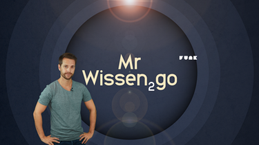 Teaser MrWissen2Go | Bild: ZDF