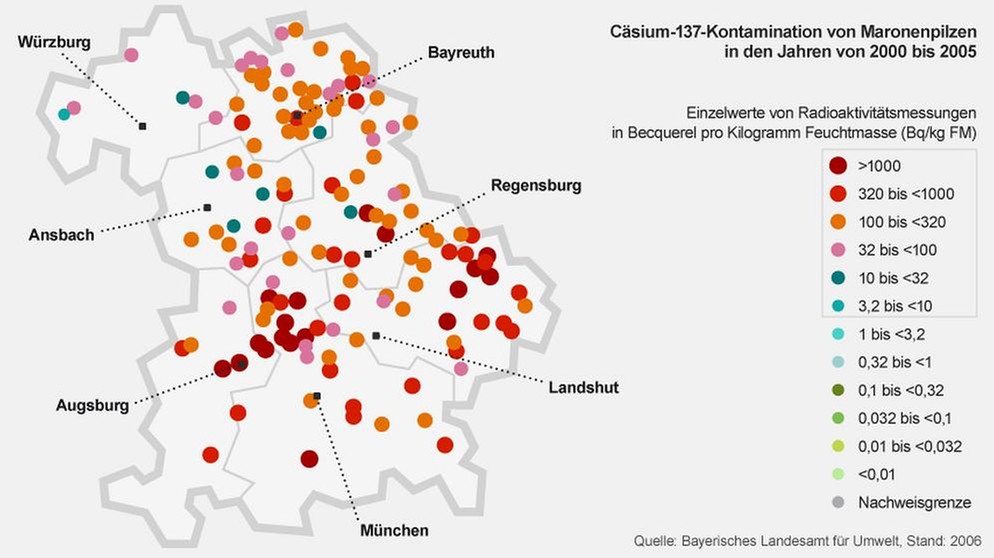 Infografik zur Cäsium-137-Kontamination von Maronenpilzen in Bayern | Bild: BR, Quelle: Bayerisches Landesamt für Umwelt