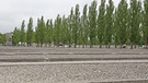 stehengebliebene Fundamente der Baracken, KZ-Gedenkstätte Dachau | Bild: BR
