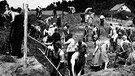 KZ Flossenbürg: US-Amerikaner lassen von Einheimischen Gräber für auf Todesmärschen umgekommene Häftlinge ausheben | Bild: National Archives Washington / KZ-Gedenkstätte Flossenbürg