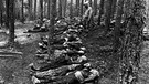 Exhumierung von Leichen jüdischer Zwangsarbeiter bei Neunburg vorm Wald | Bild: National Archives Washington / KZ-Gedenkstätte Flossenbürg