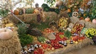 Obst und Gemüse an Erntedank | Bild: picture-alliance/dpa