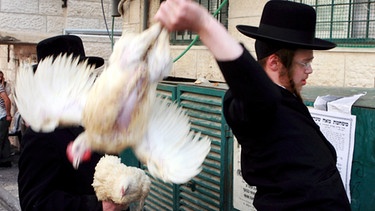 Jude schwingt ein Huhn über dem Kopf | Bild: picture-alliance/dpa