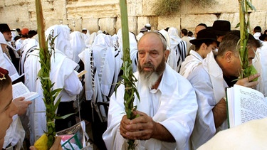 Juden tragen am Laubhuettenfest einen Palmzweig durch die Straßen | Bild: picture-alliance/dpa
