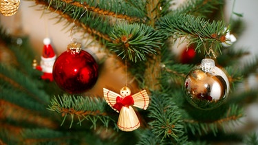 Weihnachtsbaum | Bild: picture-alliance/dpa