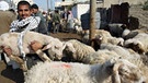 Islamisches Opferfest: Palästinenser mit Schaf auf dem Arm | Bild: picture-alliance/dpa