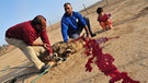 Islamisches Opferfest: Beduinen töten ein Lamm. | Bild: picture-alliance/dpa