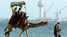 Mann führt Kamel an der Leine | Bild: picture-alliance/dpa