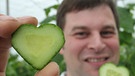 Gärtner André Busigel aus Albertshofen in Unterfranken zeigt seine herzförmige Salatgurke | Bild: picture-alliance/dpa
