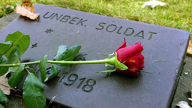 Eine Rose liegt auf dem Kriegsgrab eines unbekannten Soldaten aus dem Ersten Weltkrieg | Bild: picture-alliance/dpa