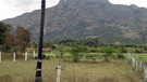 Der heilige Berg Arunachala im indischen Bundesstaat Tamil Nadu.  | Bild: picture-alliance/dpa