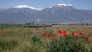 Der heilige Berg Olymp in Griechenland | Bild: picture-alliance/dpa