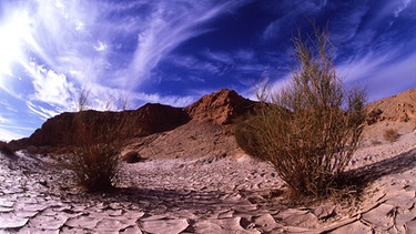 Der Berg Sinai in Ägypten | Bild: picture-alliance/dpa