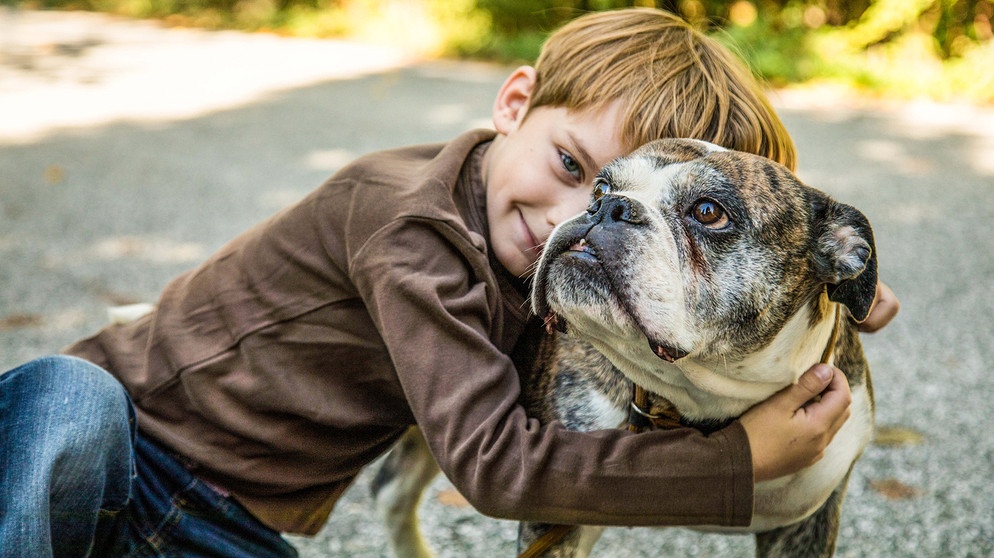 Ein Junge kuschelt mit seinem Hund  | Bild: picture alliance / dpa-tmn | Christin Klose