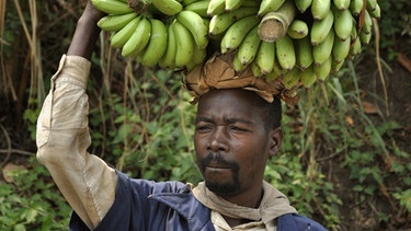 Dorfbewohner im Kongo | Bild: picture alliance/Bildagentur online