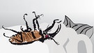 Illustration: Käfer auf dem Bett | Bild: BR