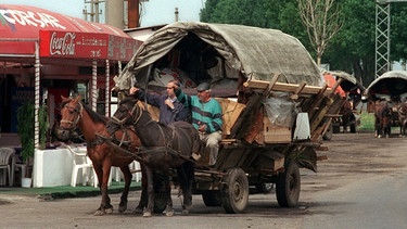 Roma-Pferdewagen nahe der rumänischen Hauptstadt Bukarest (2001) | Bild: picture-alliance/dpa