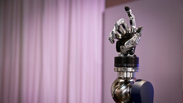 Roboterhand mit gestreckten Zeigefinger | Bild: picture-alliance/dpa
