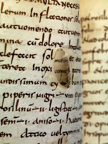 alte Pergamentschriften aus dem 8. Jahrhundert | Bild: Staatsbibliothek Bamberg 