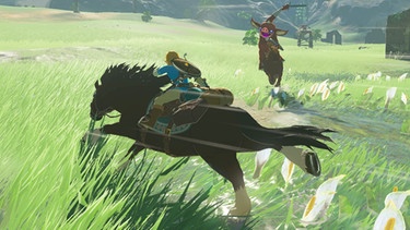 Screenshot "Zelda-Breath of the Wild" | Bild: Nintendo