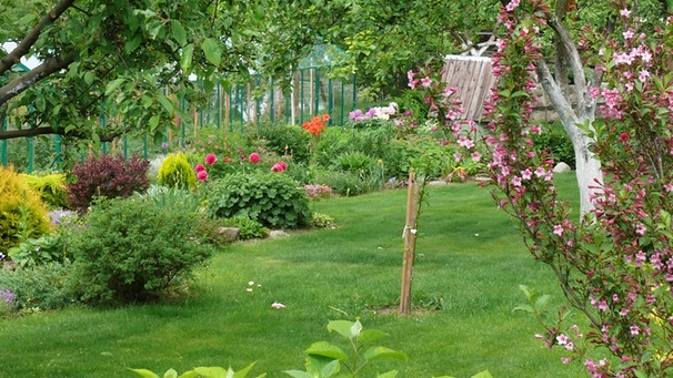 Garten | Bild: colourbox.com