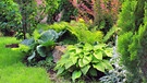 Pflanzenarrangement im Garten | Bild: colourbox.com