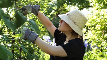 Eine Frau arbeitet im Garten | Bild: picture-alliance/dpa