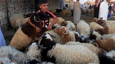 A boy poses for a photo between sheep at a livestock market during the Eid al-Adha festival in Najaf south of Baghdad | Bild: Reuters (RNSP)/Alaa Al-Marjani