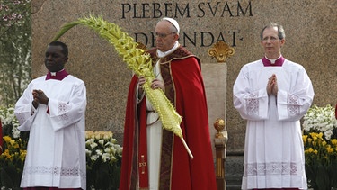 Papst Franziskus an Palmsonntag | Bild: picture-alliance/dpa