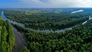 Donauauwald bei Bruck an der Lechmündung. | Bild: dpa-picture alliance/blickwinkel/W. Willner