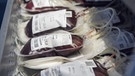 Blutbeutel mit frisch gespendetem Blut werden gesammelt und kühl gelagert bevor sie weiterverarbeitet werden. | Bild: PA/Christian Beutler