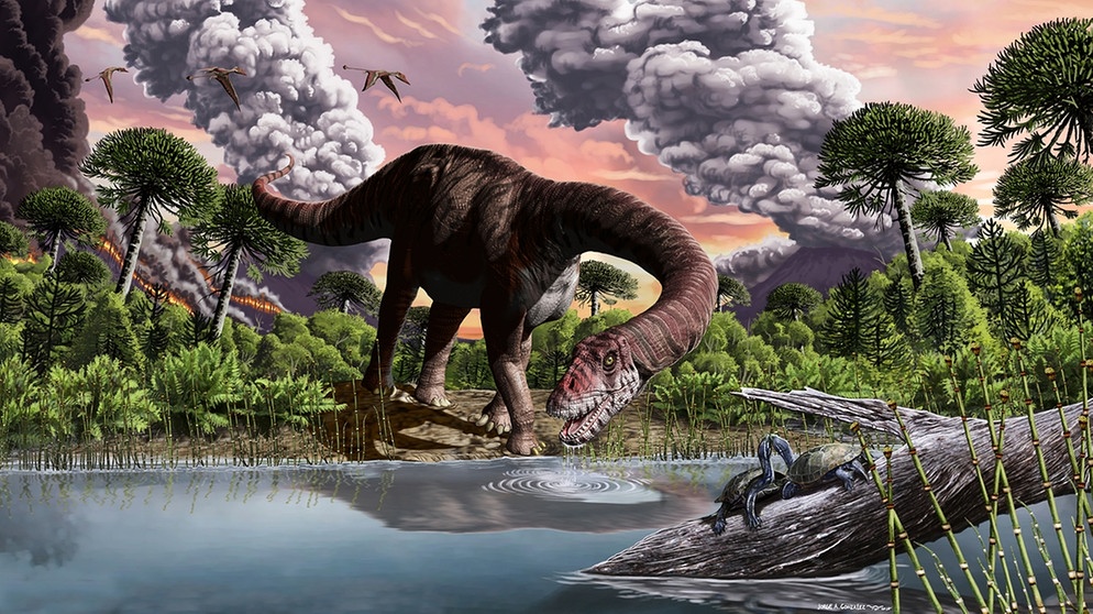 Künstlerische Darstellung des Langhalssauriers Bagualia alba. Diese Dinosaurier-Gruppe könnte sich nach einem Klimawandel gegenüber den anderen Gruppen der Sauropodomorpha durchsetzen. | Bild: Jorge Gonzales