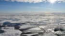 Auf dem Arktischen Ozean am Nordpol schwimmen Eisplatten. Das Eis schmilzt und der Meeresspiegel steigt. Die Erderwärmung hat massive Auswirkungen auf Eismassen und Ozeane. | Bild: dpa-Bildfunk/Ulf Mauder